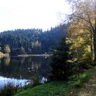 Rundweg um den Nonnenmattweiher