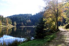 Rundweg um den Nonnenmattweiher