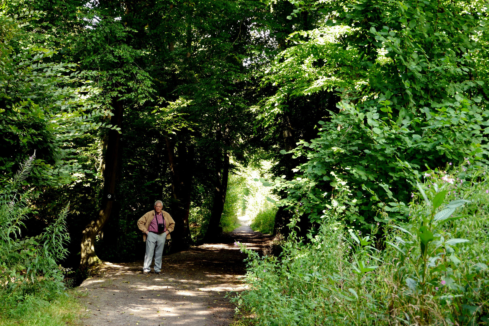 Rundweg um die Aprather Mühle und Düssel.