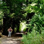 Rundweg um die Aprather Mühle und Düssel.