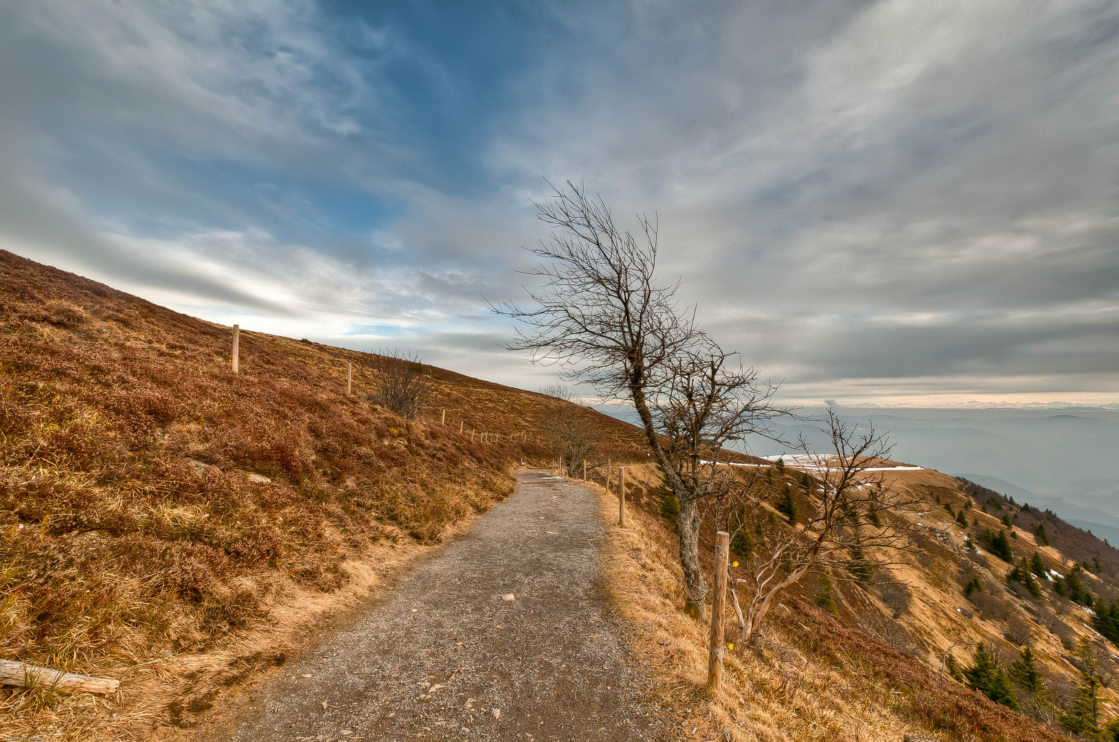 Rundweg zum Gipfel (Belchen Schwarzwald)