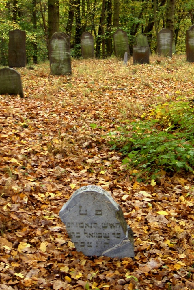 Runkel-der jüdische Friedhof (1)