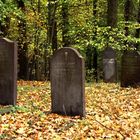 Runkel-der jüdische Friedhof (2)