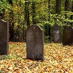 Runkel-der jüdische Friedhof (2)