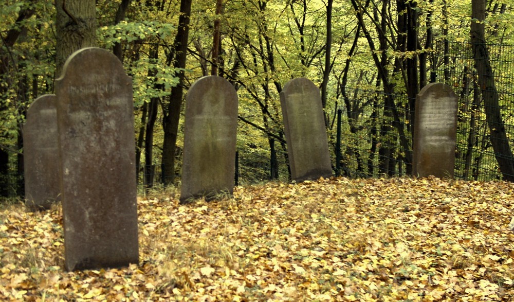 Runkel-der jüdische Friedhof (3)