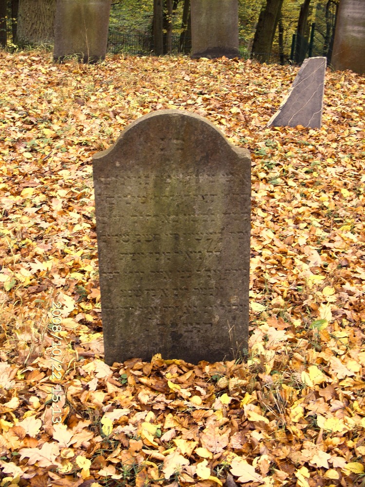 Runkel-der jüdische Friedhof (4)