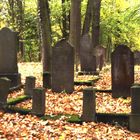 Runkel-der jüdische Friedhof (5)