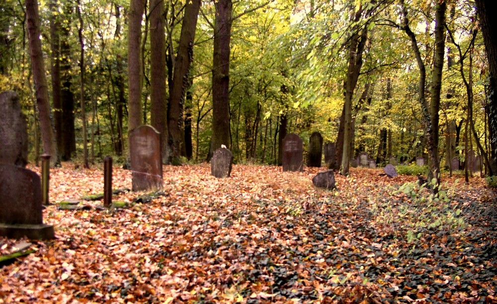 Runkel-der jüdische Friedhof (6)