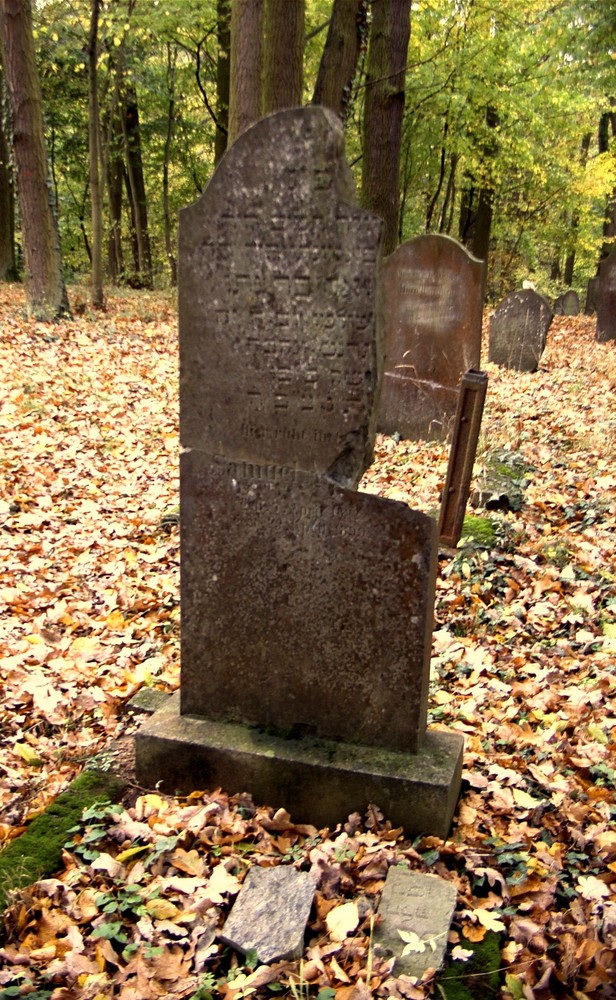 Runkel-der jüdische Friedhof (7)