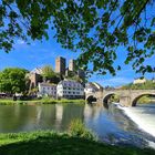 Runkel im Frühling I