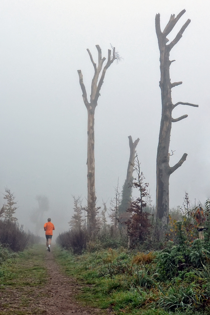 runner in the mist