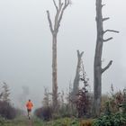 runner in the mist