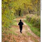 Running alone in the fall