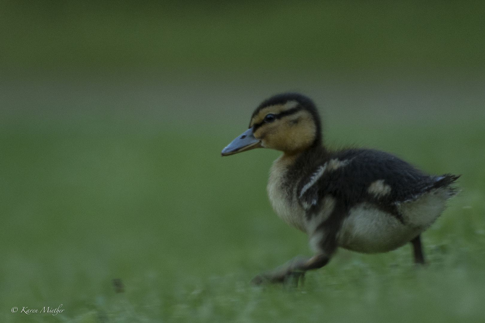 running