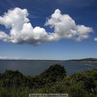 "Running Dog" an der Luce Bay, Schottland