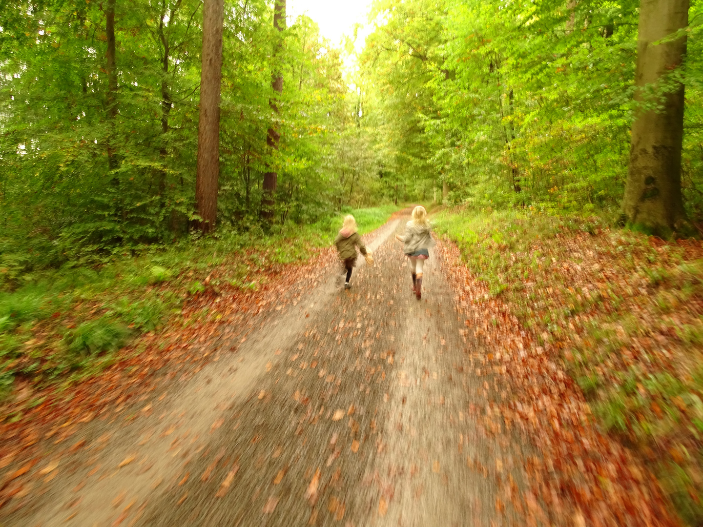 Running Forest