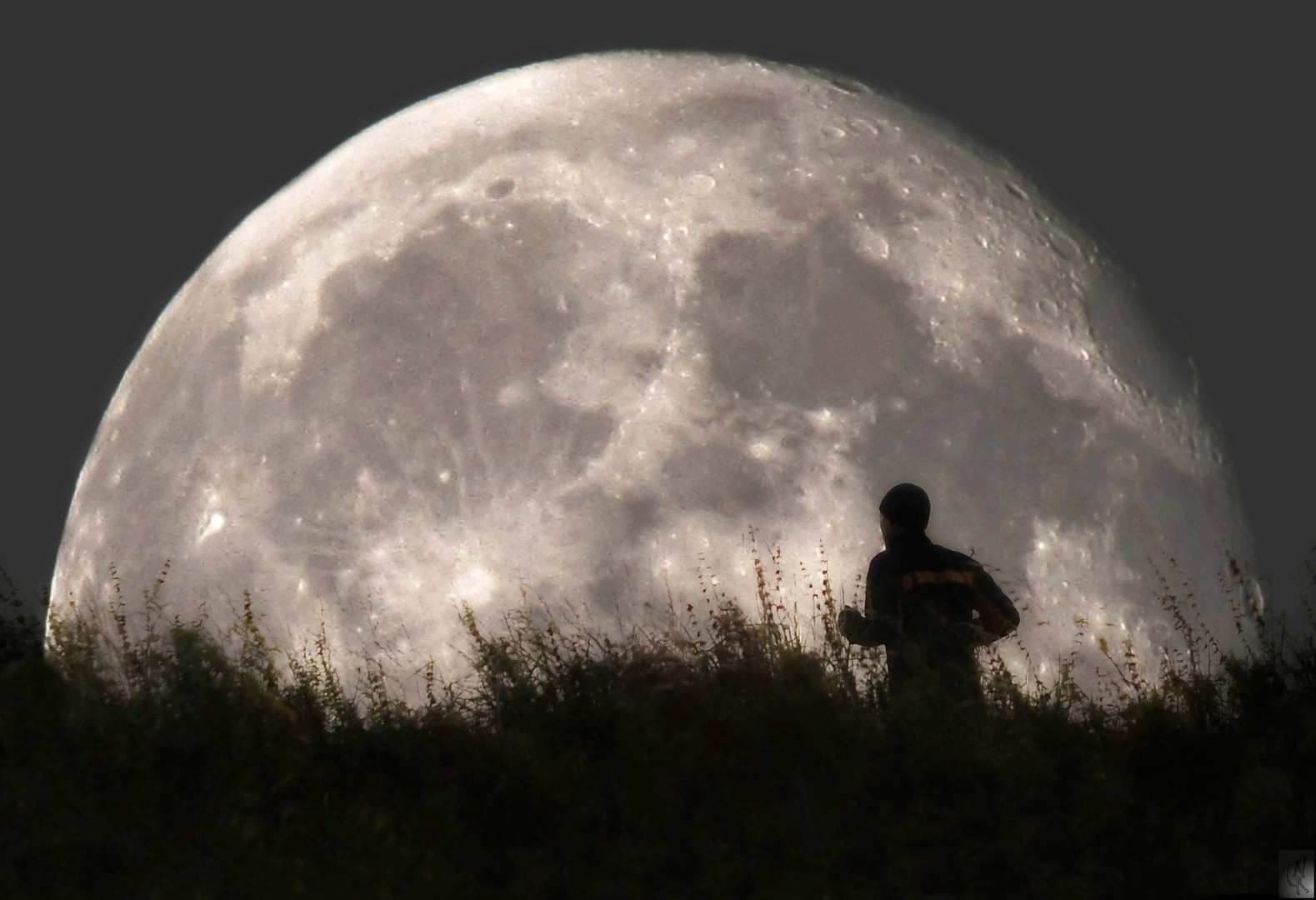 running in the moonlight