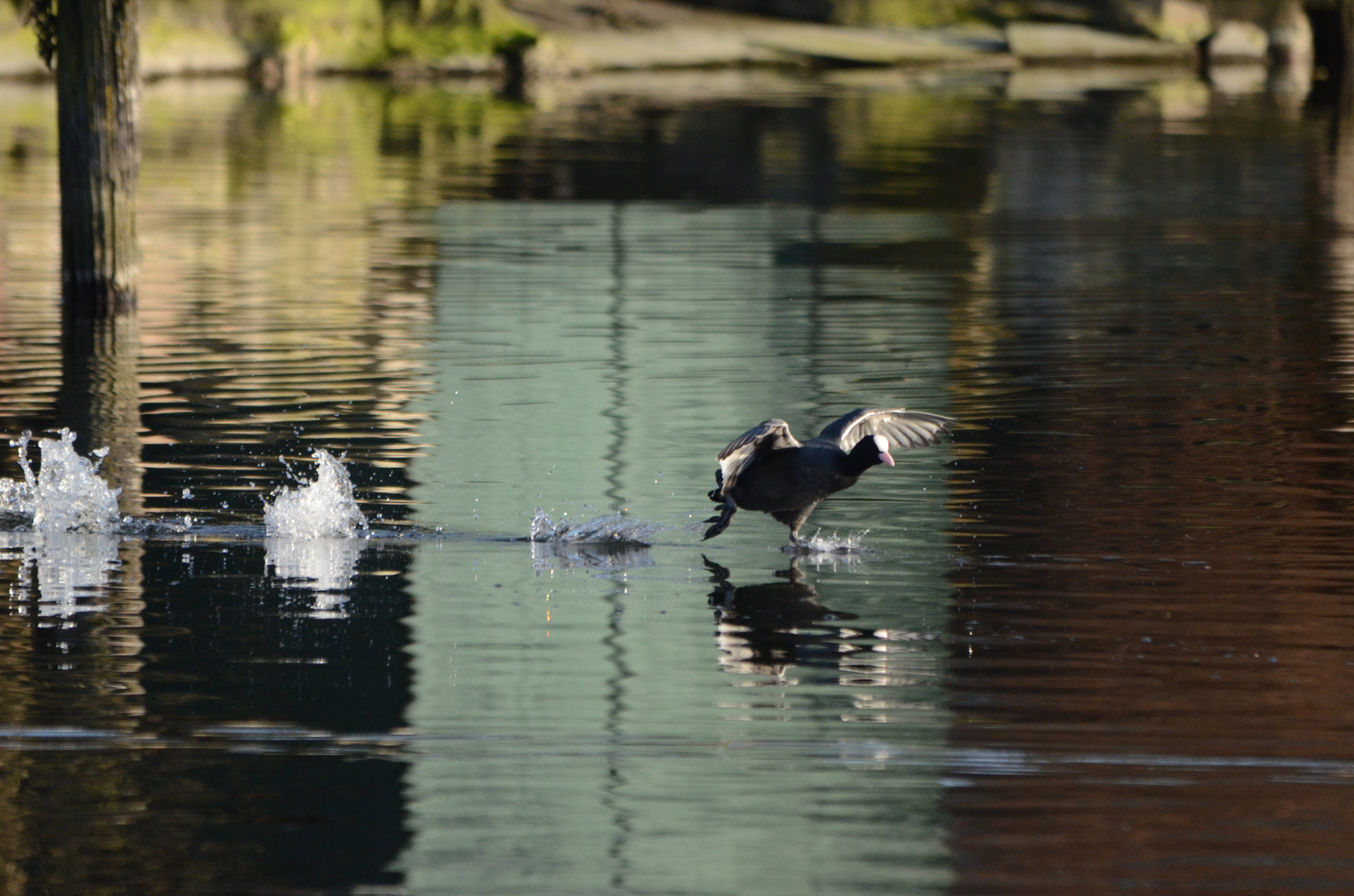 Running on Water