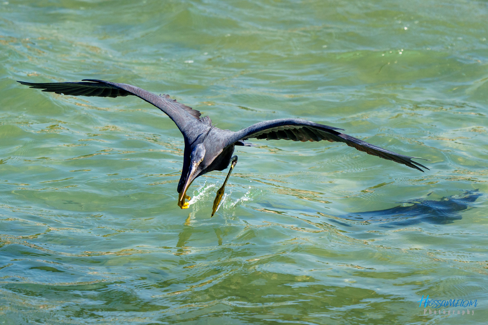 Running on water