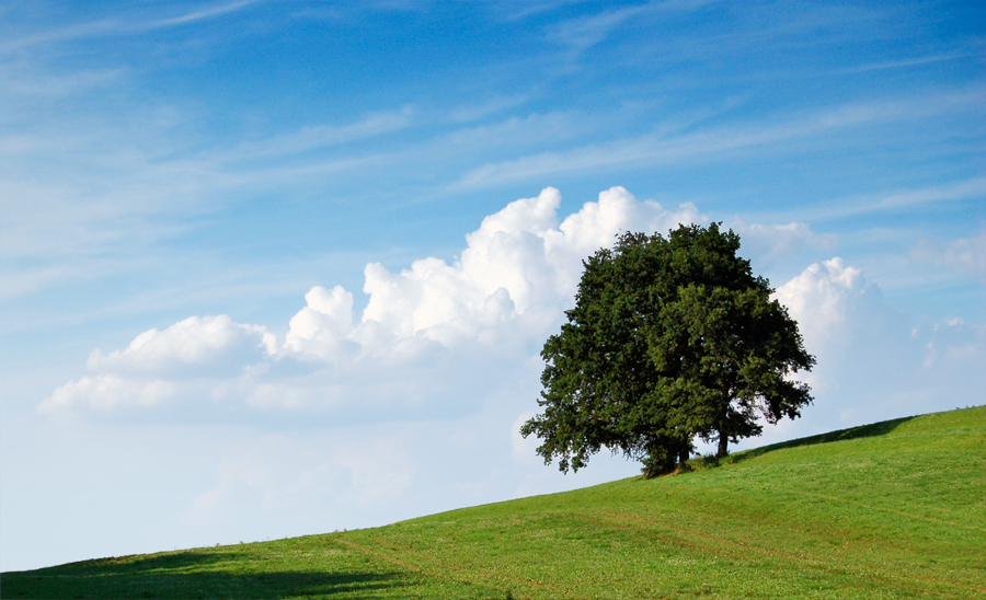 Running up the hill (2)