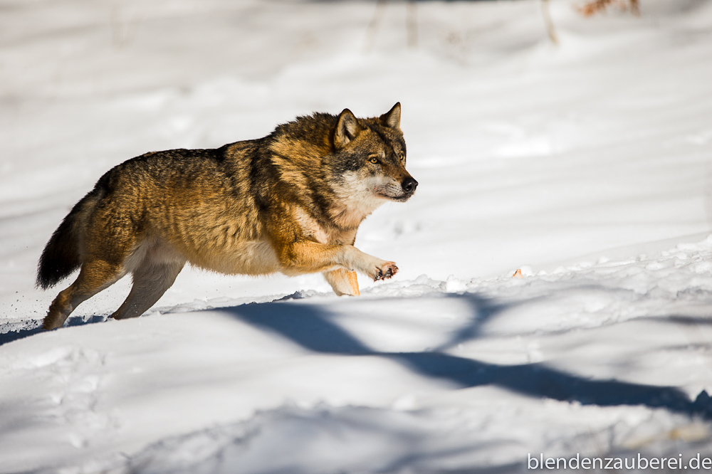 Running up the Hill