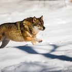 Running up the Hill