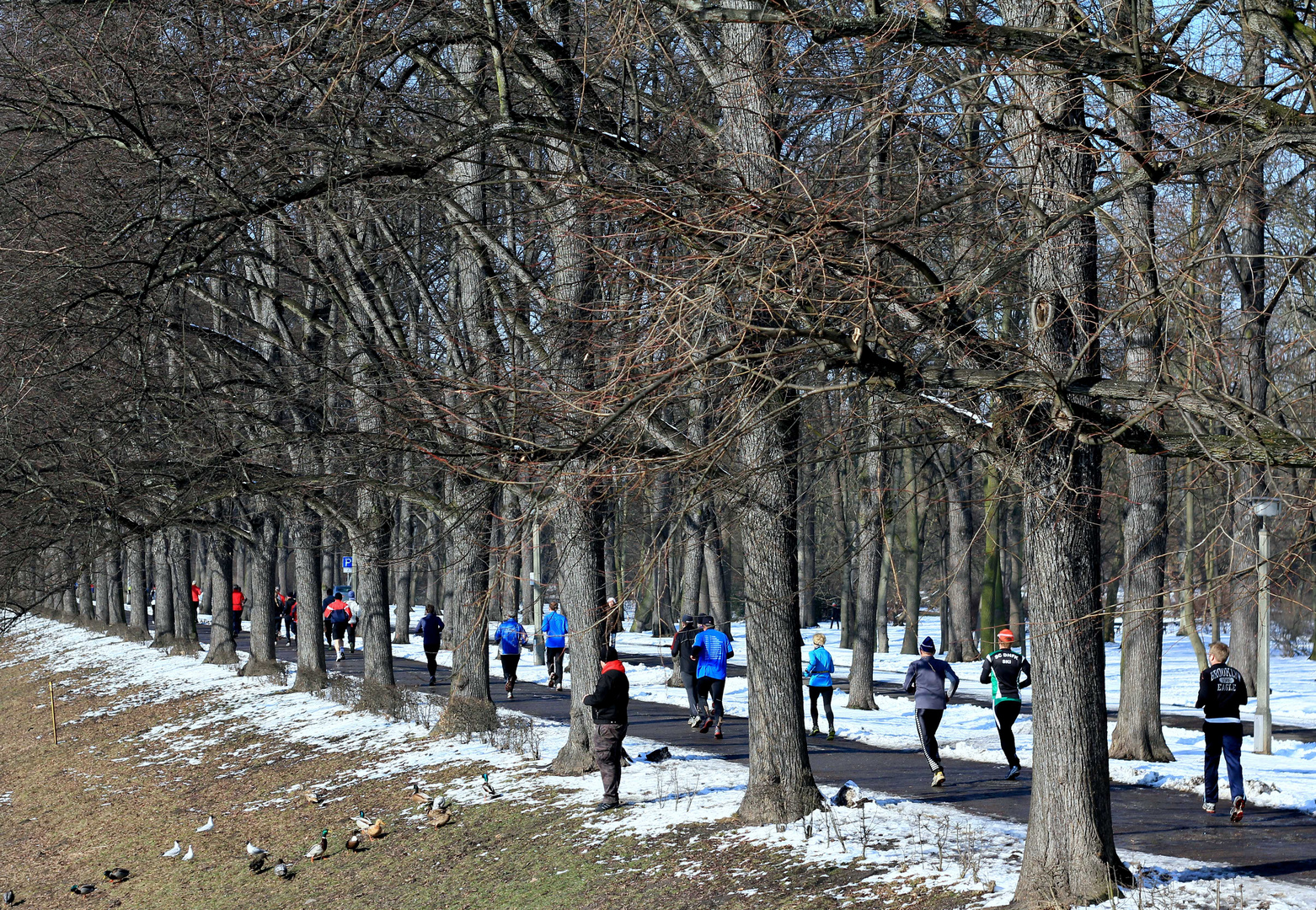 Runningpeople