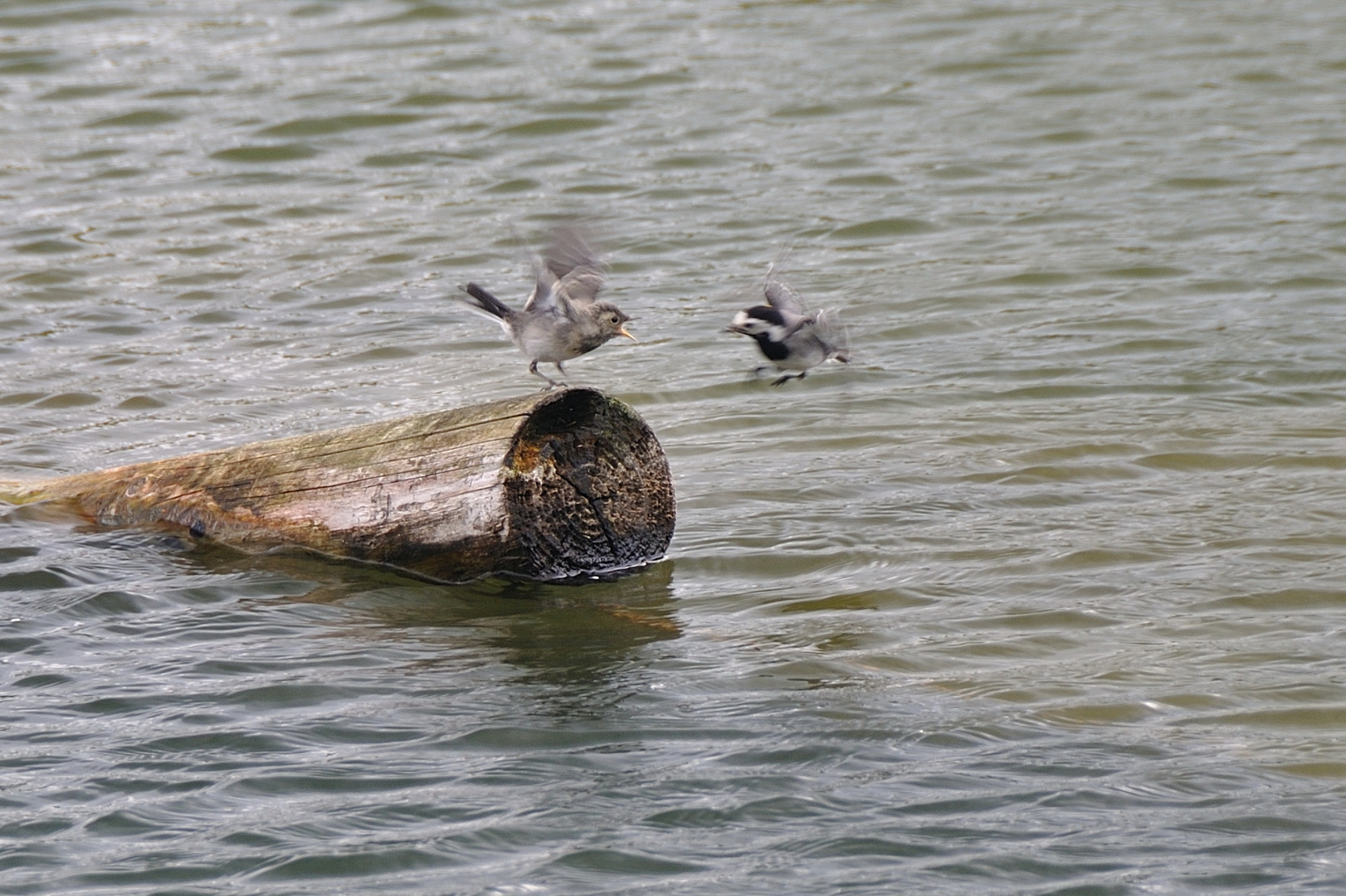 Runter von meiner Insel