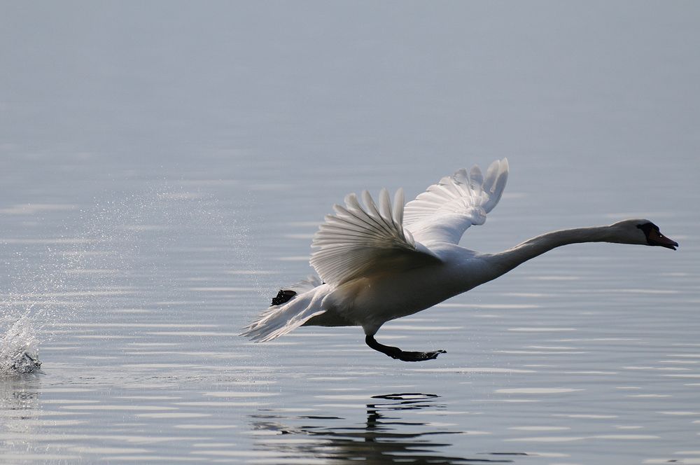 runway by J. Mayr 