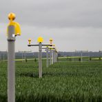 runway approach lights