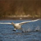 Runway Isar - ready for take off