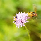 Rupture à l'amiable ?