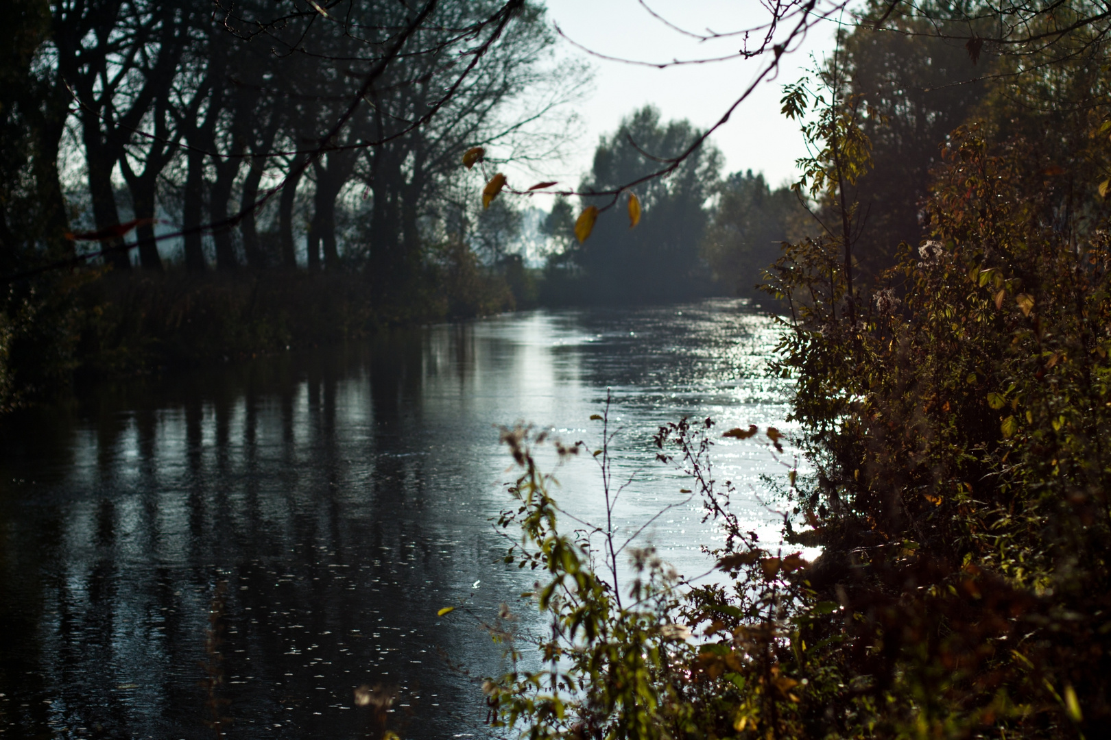 Rur bei Millich; Ratheim Herbst 2012