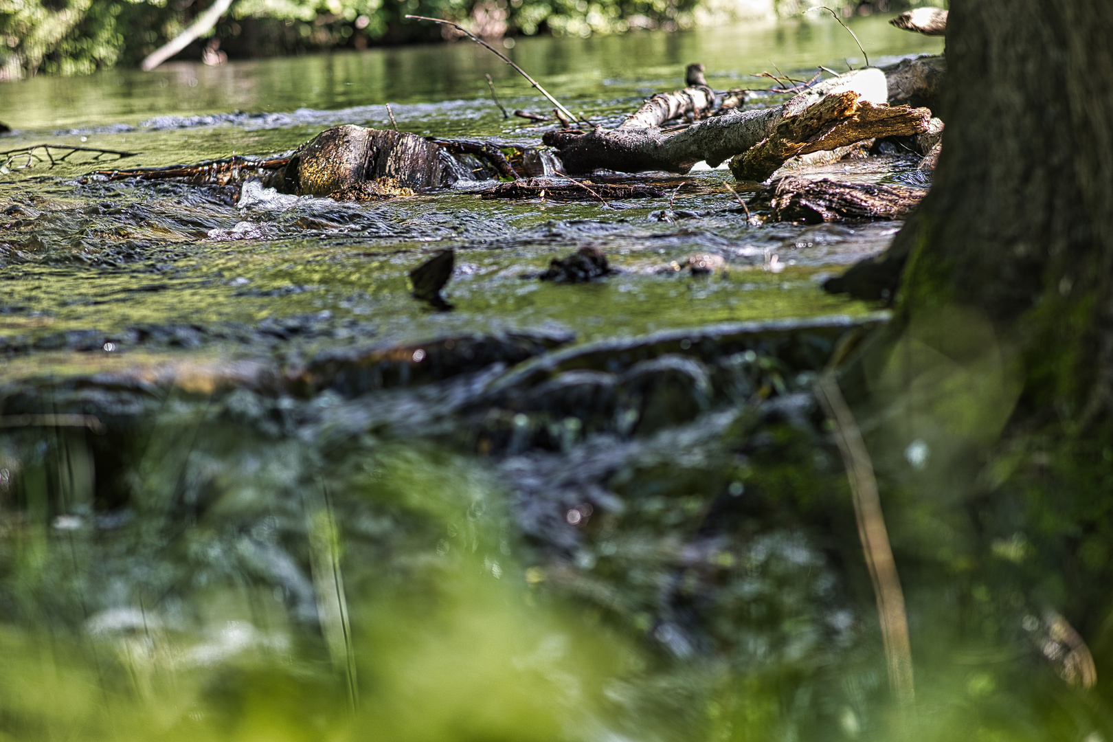 Rur Fluß in der Eifel 