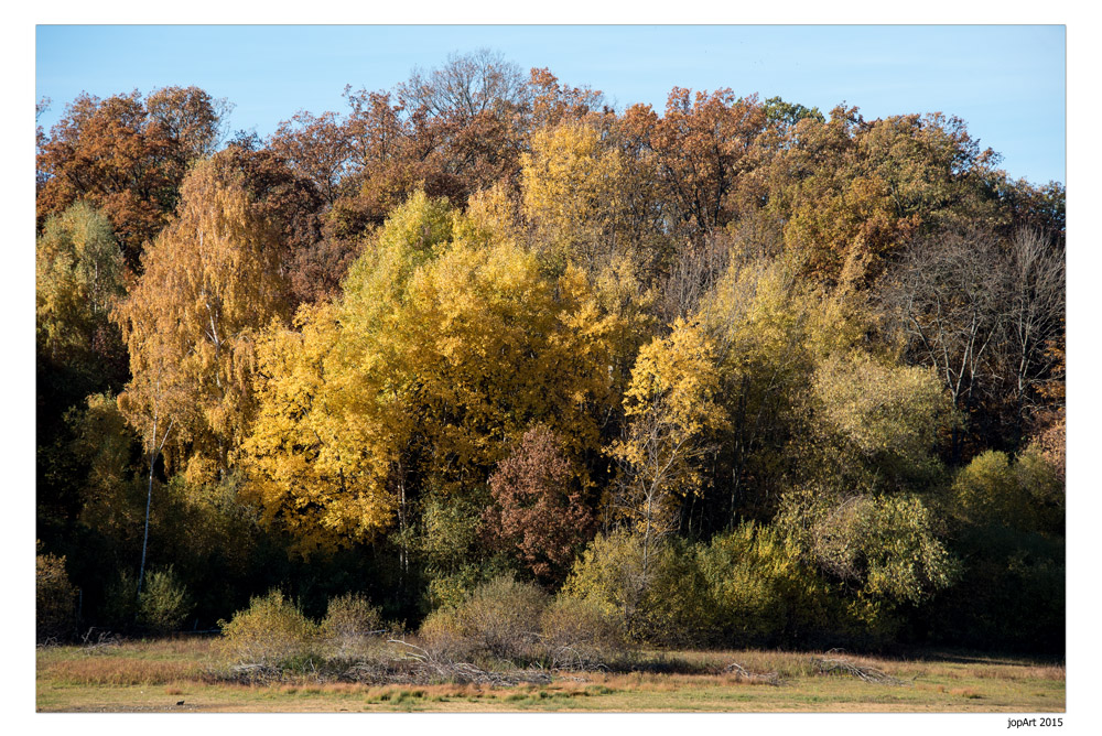 rur15 013 EifelHerbstFarben...