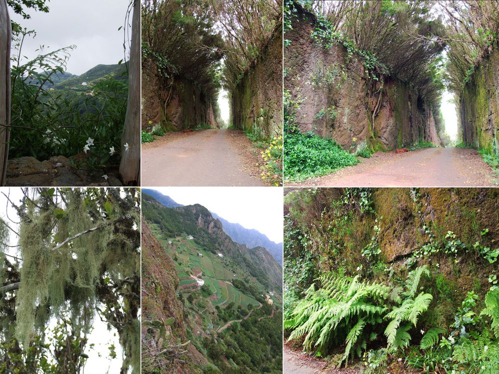 Rural de Anaga_Naturpark_Tenerife.