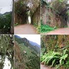 Rural de Anaga_Naturpark_Tenerife.