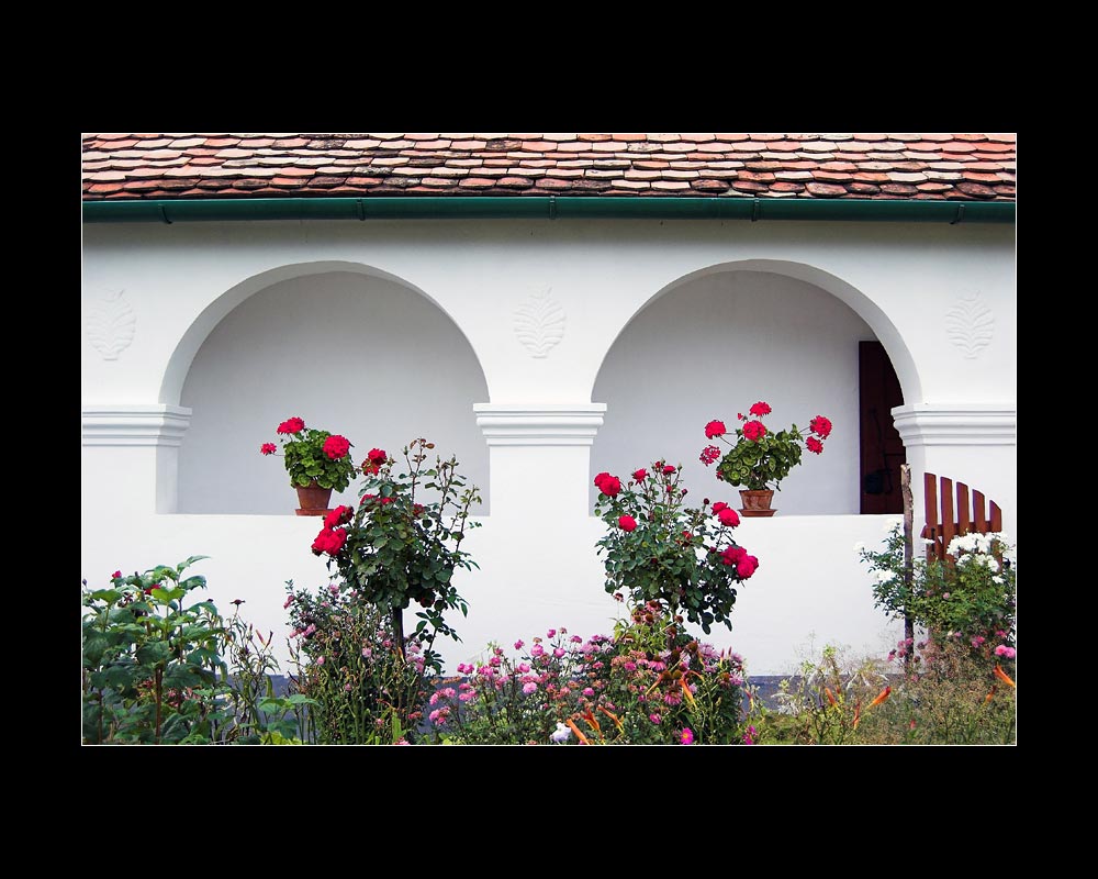 Rural house