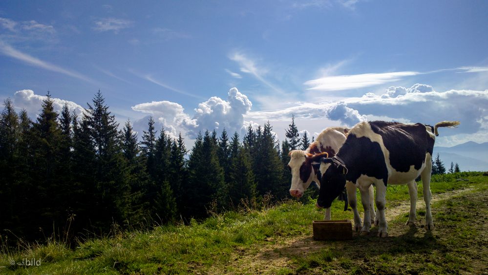 rural idyll