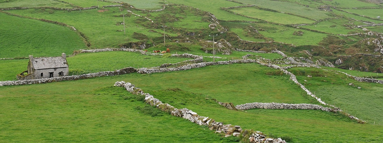 Rural Ireland