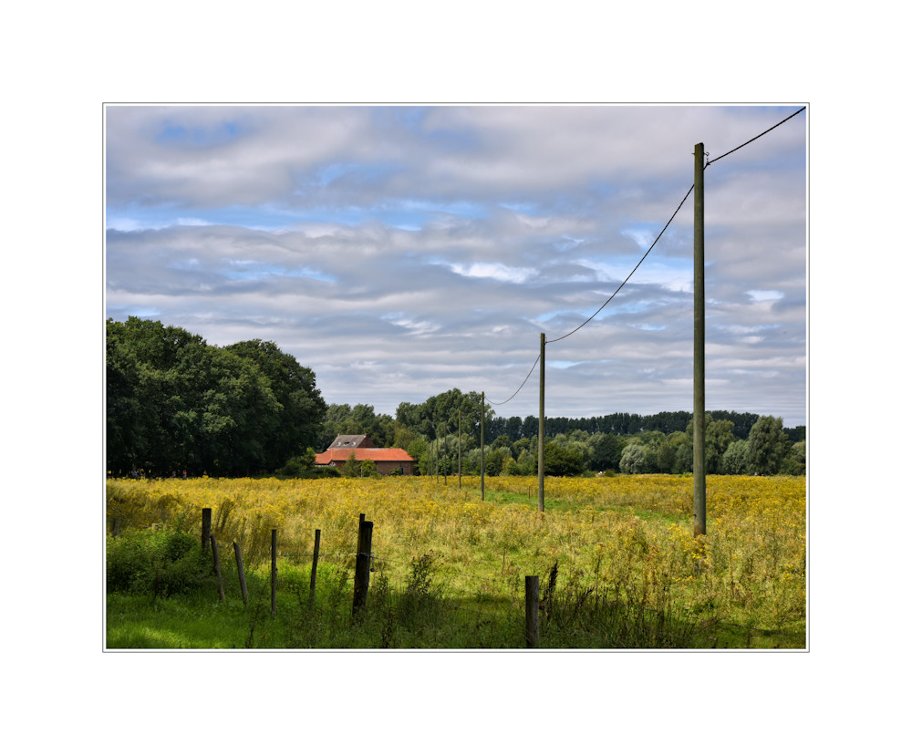 Rural landscape #2 - 16