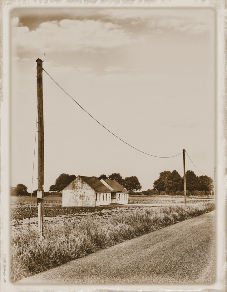 Rural landscape #2