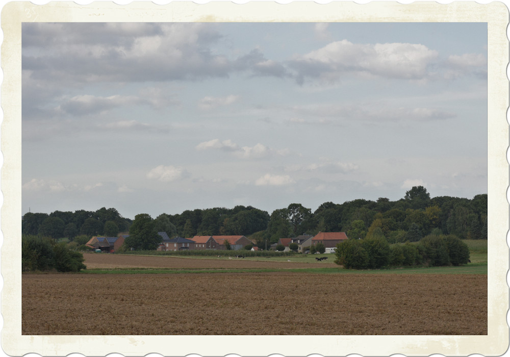 Rural landscape #3 - 16