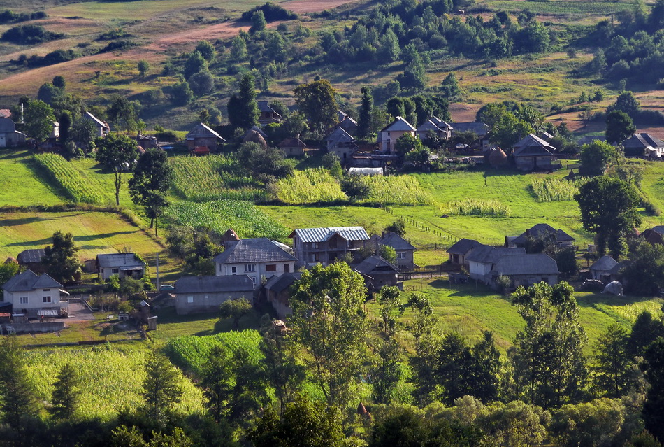 Rural landscape