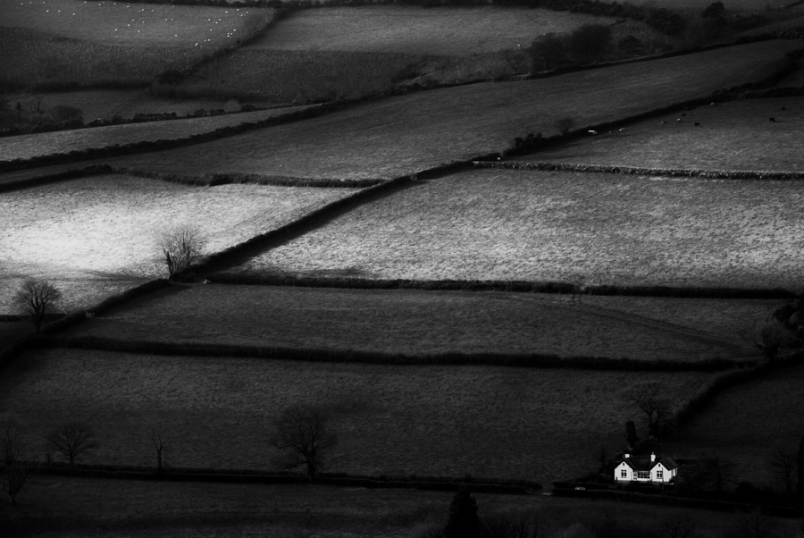 Rural Landscape in South Devon