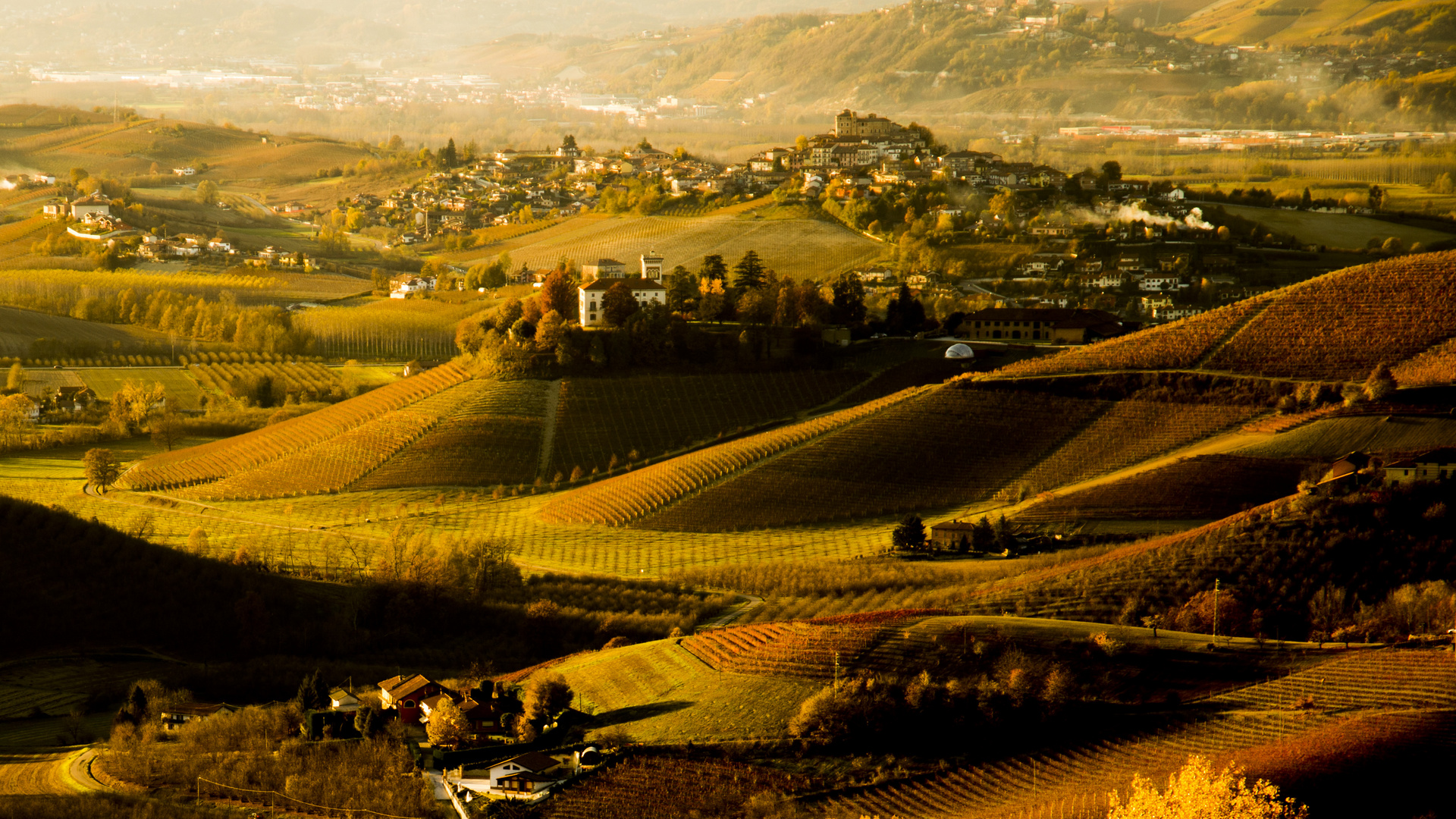 Rural landscape, le Langhe