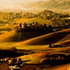 Rural landscape, le Langhe