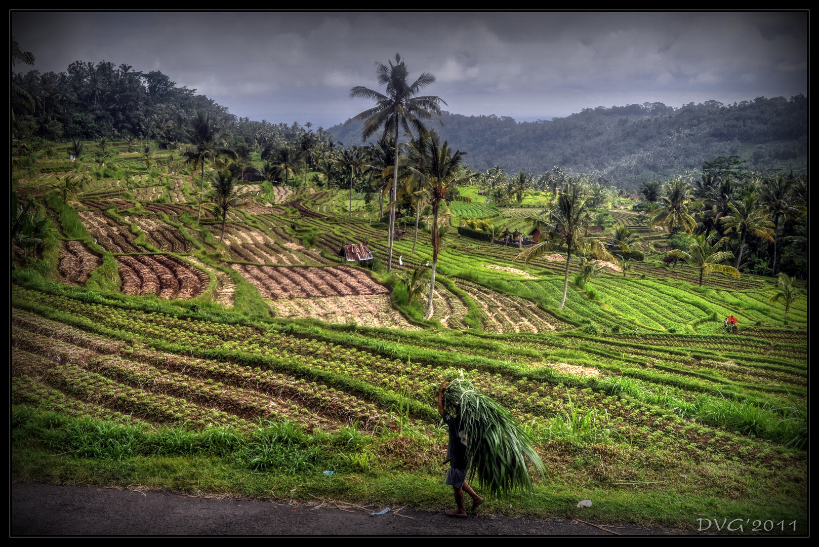 Rural scenery in Bali, Indonesia