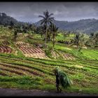 Rural scenery in Bali, Indonesia