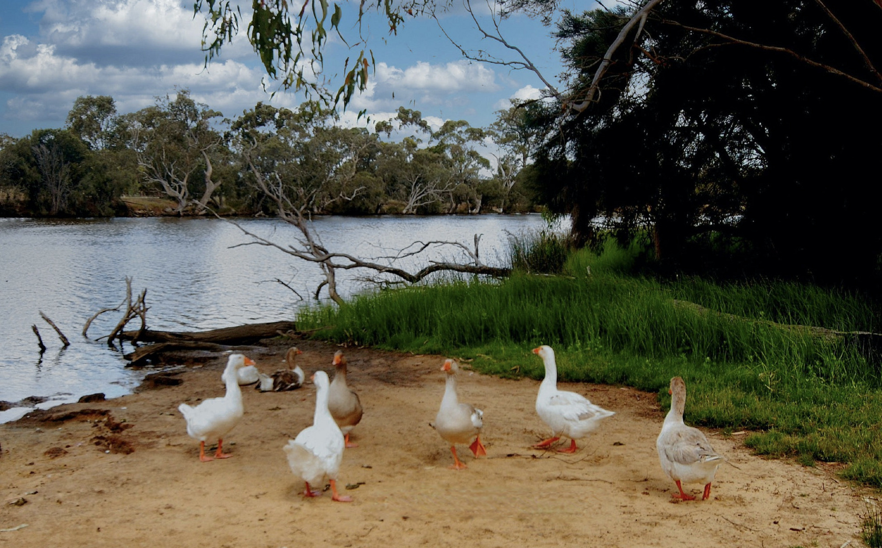  Rural South West  Australia  April 27, 2023.